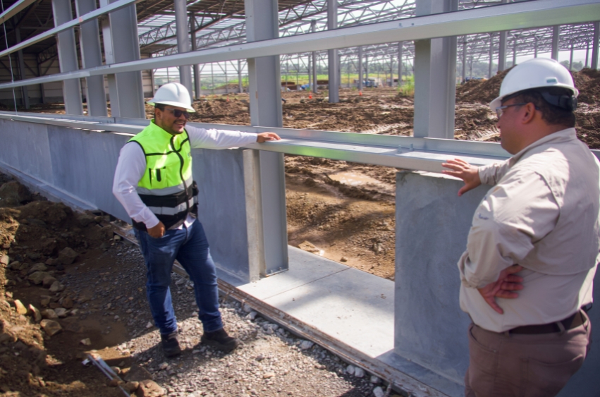Inspección de Proyectos